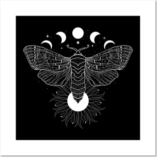 Satin Moth | Sun and Moon Posters and Art